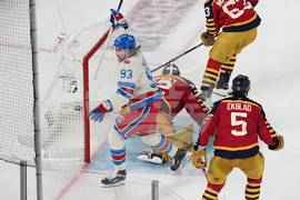 NHL Winter Classic Hockey