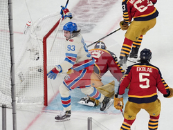 NHL Winter Classic Hockey