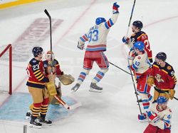 NHL Winter Classic Hockey