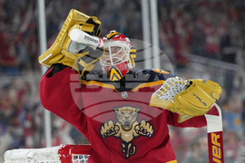 NHL Winter Classic Hockey