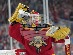 NHL Winter Classic Hockey