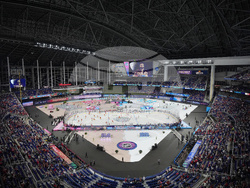 NHL Winter Classic Hockey