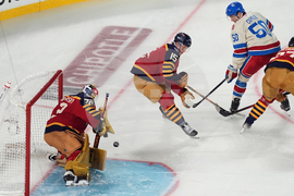 NHL Winter Classic Hockey