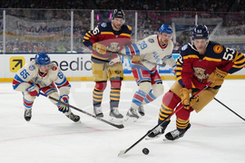 NHL Winter Classic Hockey