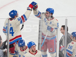 NHL Winter Classic Hockey