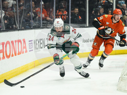 Wild Ducks Hockey