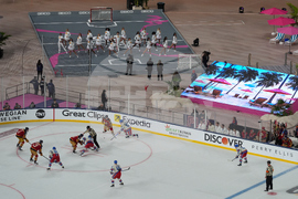 NHL Winter Classic Hockey
