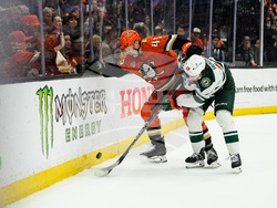 Wild Ducks Hockey
