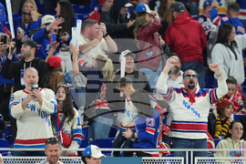 NHL Winter Classic Hockey