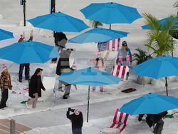 NHL Winter Classic Hockey