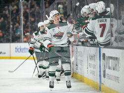 Wild Ducks Hockey