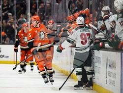 Wild Ducks Hockey
