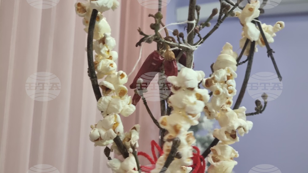 Национален конкурс за най-автентична сурвакница обяви читалището в търговищкото село Макариополско 