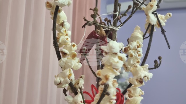 Национален конкурс за най-автентична сурвакница обяви читалището в търговищкото село Макариополско 