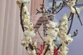 Село Макариополско - сурвакница - конкурс