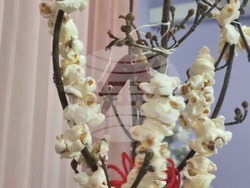 Село Макариополско - сурвакница - конкурс