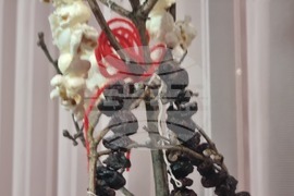 Село Макариополско - сурвакница - конкурс