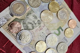 Русе - търговия - евро - лев