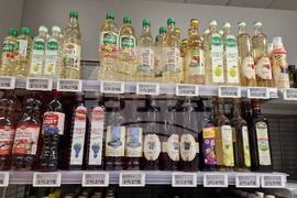 Шумен - репортерска проверка - въвеждане на евро