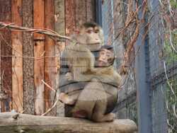 Снимка: Пресцентър на Столична община 