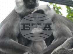 Снимка: Пресцентър на Столична община 