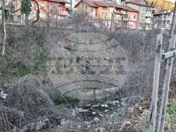 Враца - ураганен вятър