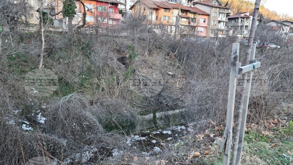 Враца - ураганен вятър