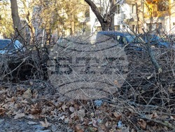 Враца - ураганен вятър