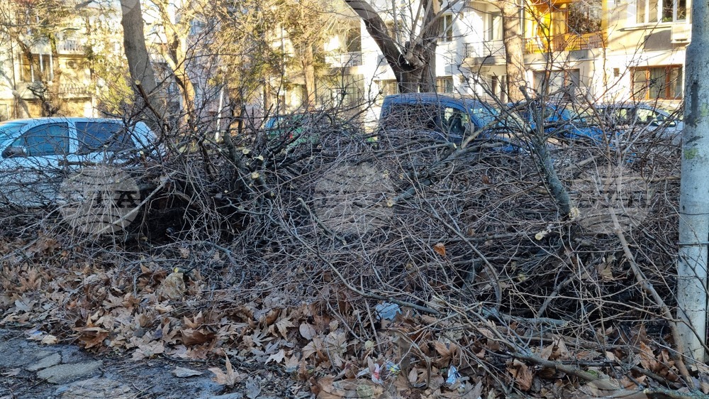 Враца - ураганен вятър