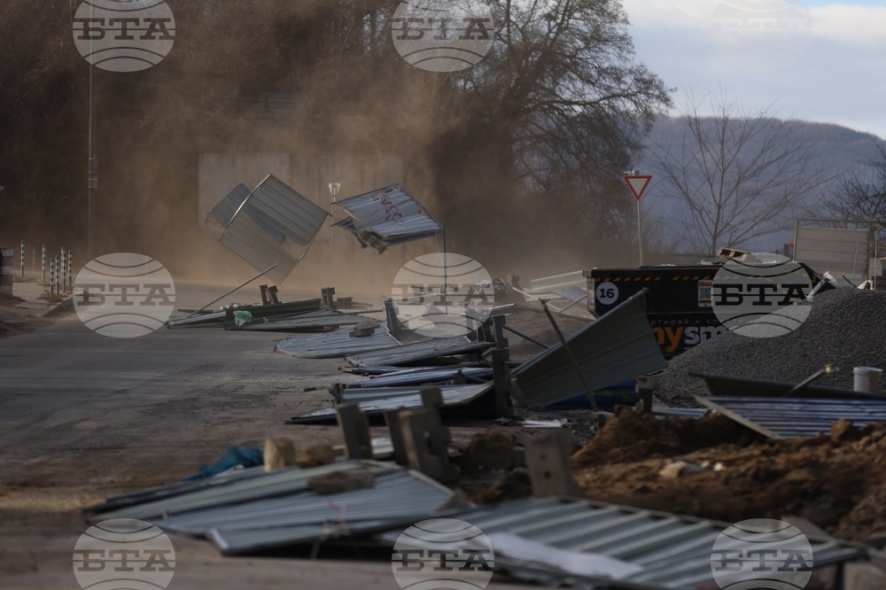 Authorities Issue Safety Advice for January 3 Strong Wind Warning, One Person Dies after Tree Falls over Car