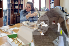 Варна - археология - Петрич кале