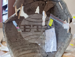 Варна - археология - Петрич кале