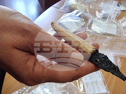 Варна - археология - Петрич кале