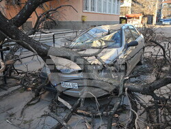 Монтана-вятър-щети