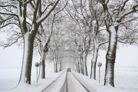 newsml:dpa.com:20090101:260103-99-62281