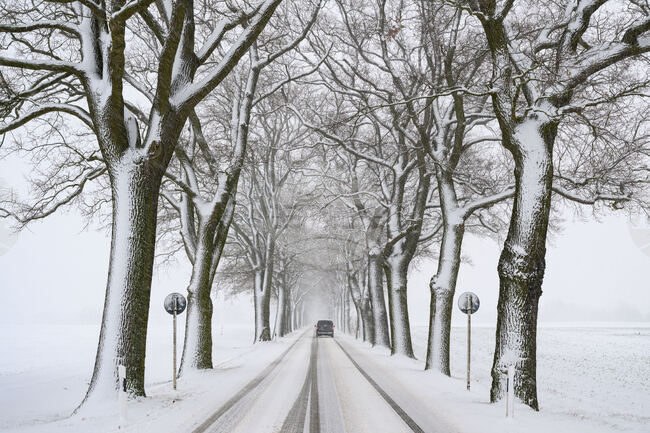 newsml:dpa.com:20090101:260103-99-62281