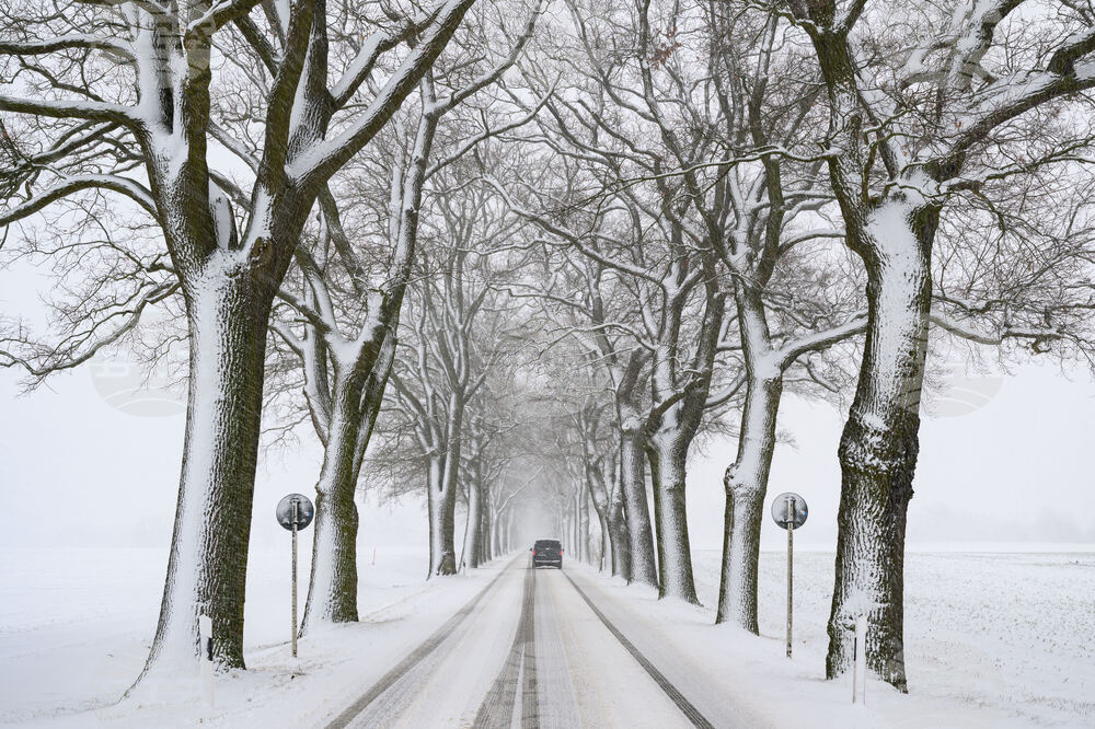 newsml:dpa.com:20090101:260103-99-62281