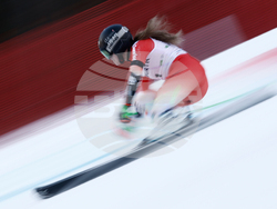 Slovenia World Cup Alpine Skiing