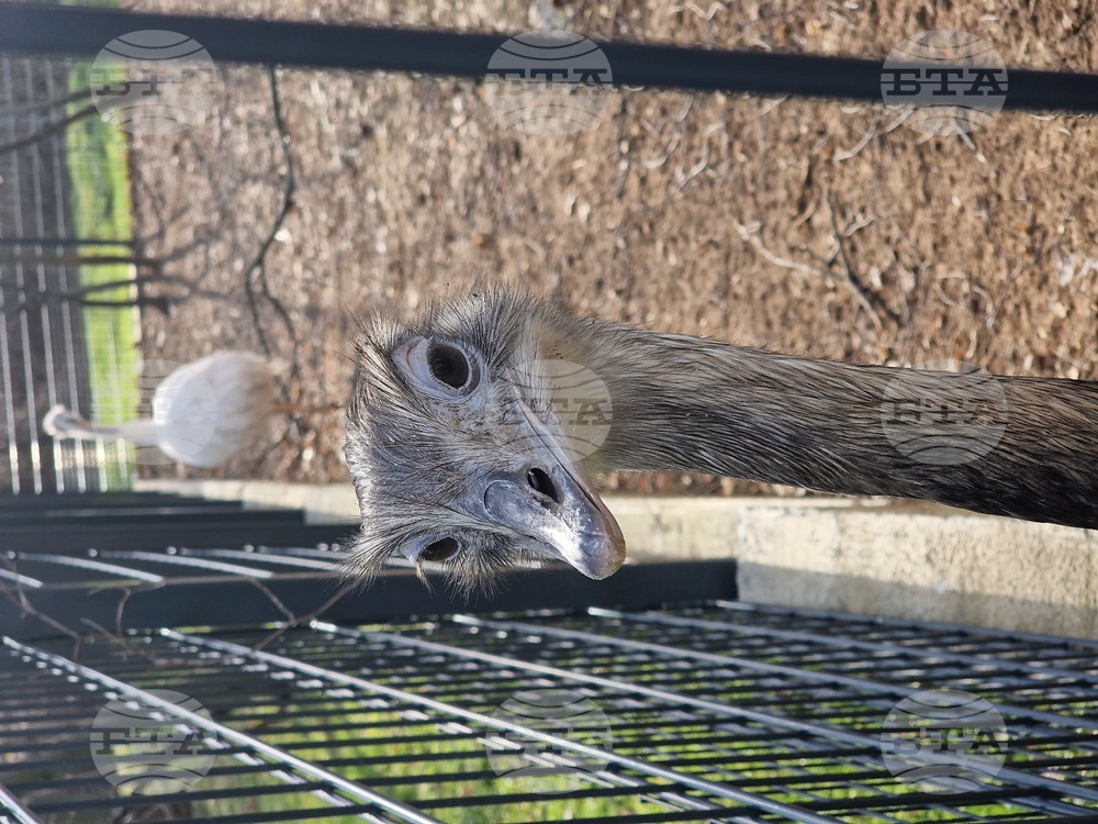 Стара Загора - зоопарк