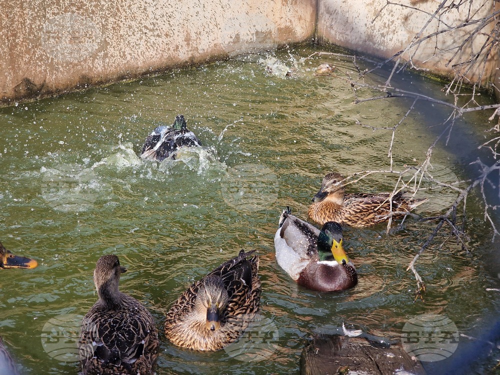 Стара Загора - зоопарк