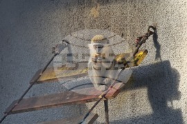 Стара Загора - зоопарк