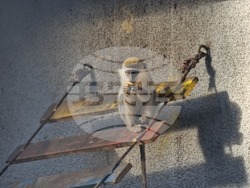 Стара Загора - зоопарк