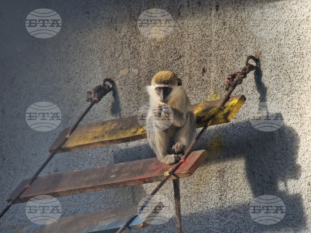 Стара Загора - зоопарк