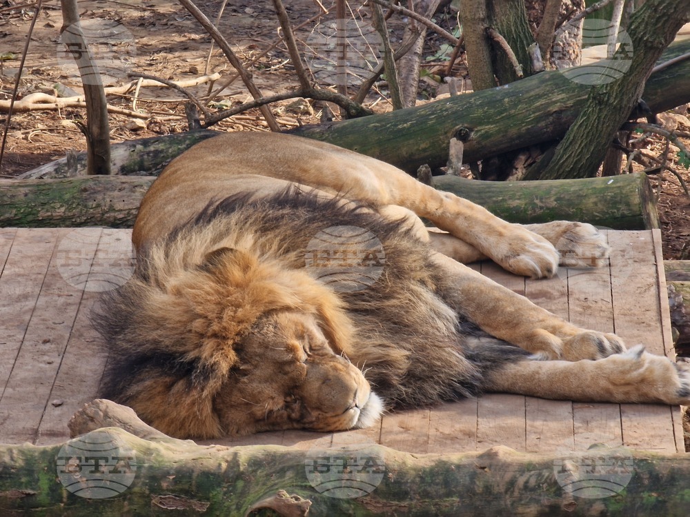 Стара Загора - зоопарк