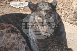 Стара Загора - зоопарк