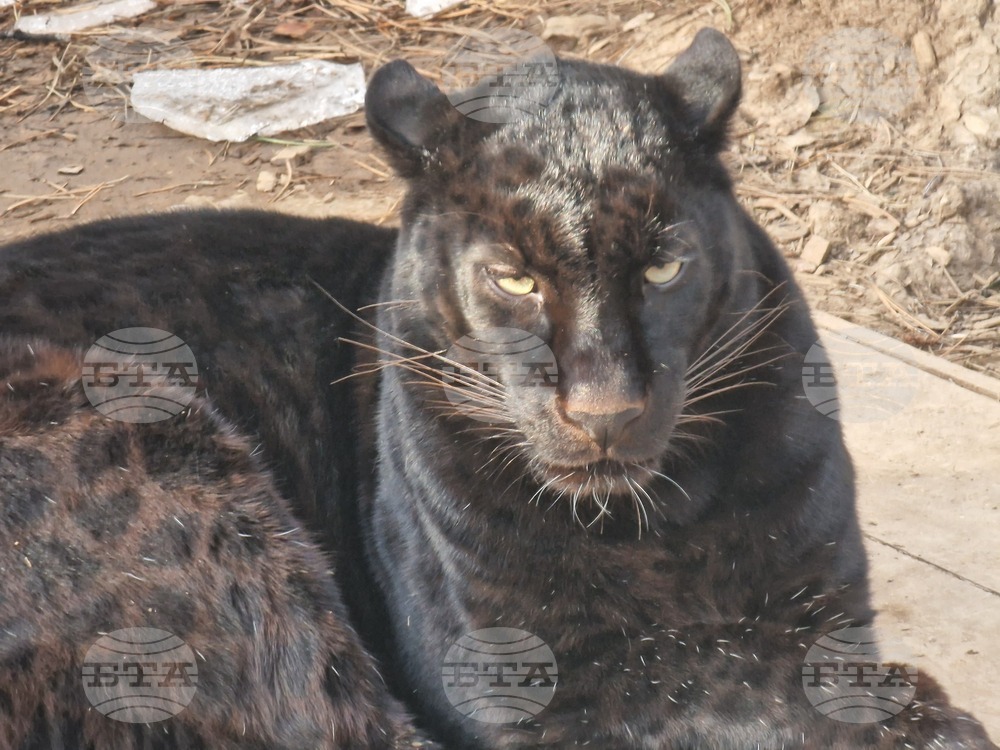 Стара Загора - зоопарк