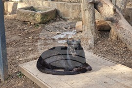 Стара Загора - зоопарк