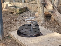 Стара Загора - зоопарк