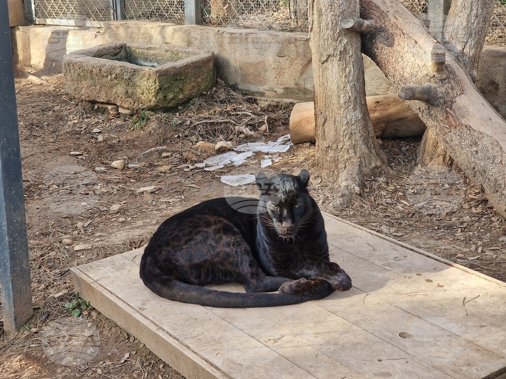 Стара Загора - зоопарк