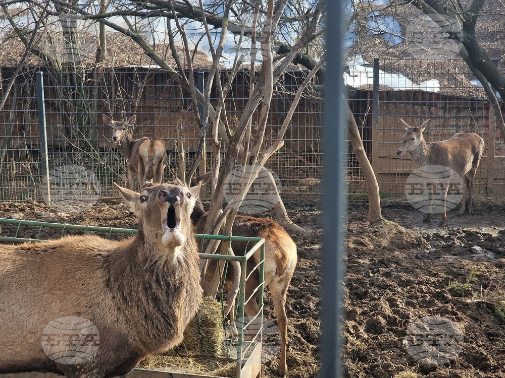 Стара Загора - зоопарк